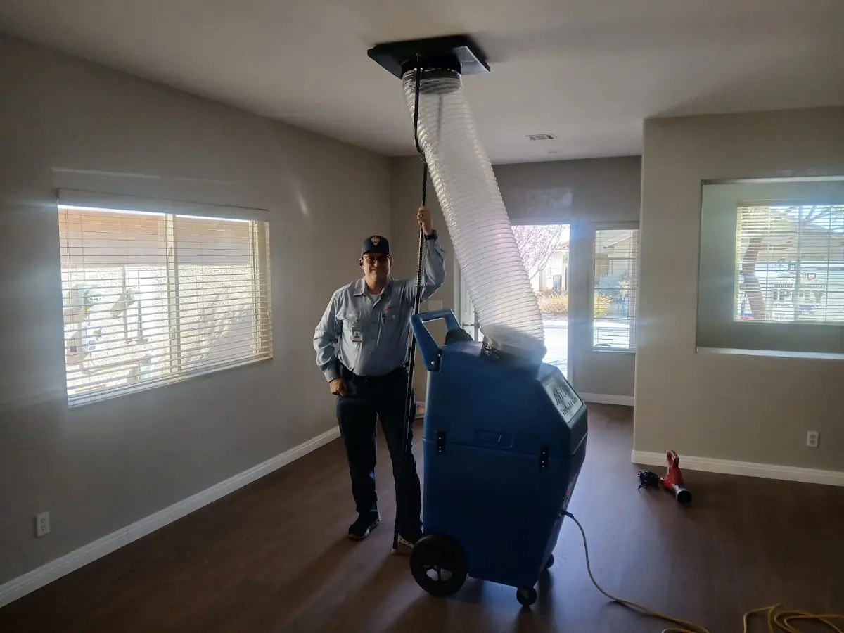Professional Dryer Vent Cleaning work inside a Pittstown home